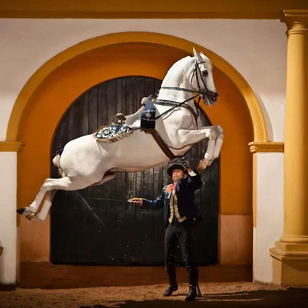 Atico-penthouse Duplex Bellavista Con Parking Apartman